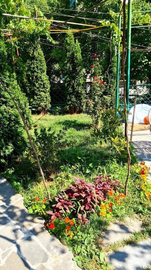 Guest House Casa Borjomi Bagian luar foto